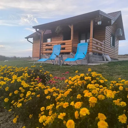 Brvnara Stanicic 別荘 *