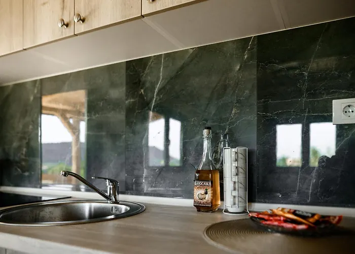 別荘 Brvnara Stanicic *