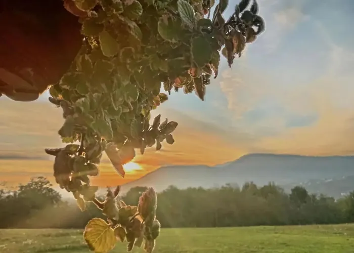 Brvnara Stanicic * アランジェロヴァツ